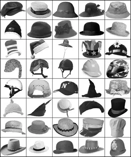 40 hats brush