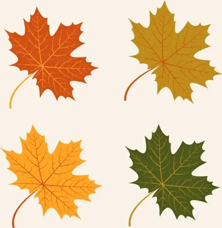 4 kind autumn leaves vector