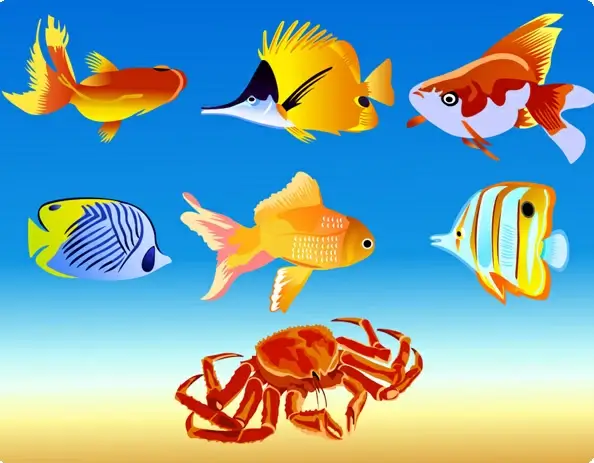 7 vector fish graphics