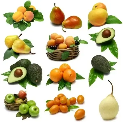 a variety of fruit and fine picture 2