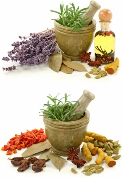 a variety of spices and garlic mortar highdefinition picture