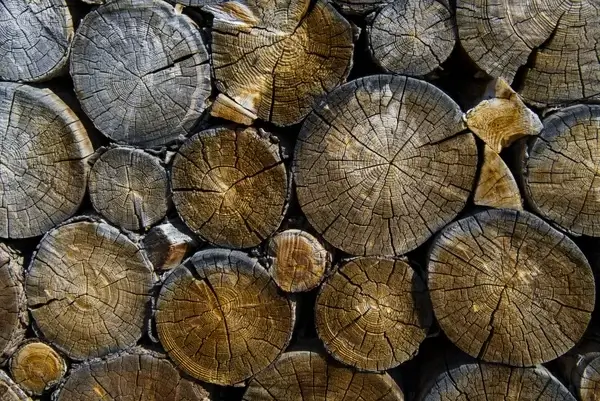 abstract backdrop background circle design firewood
