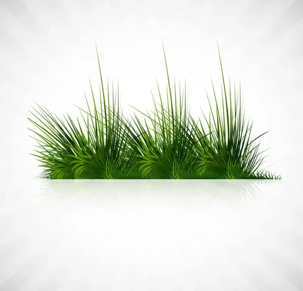 abstract green grass with reflection vector whit background illustration
