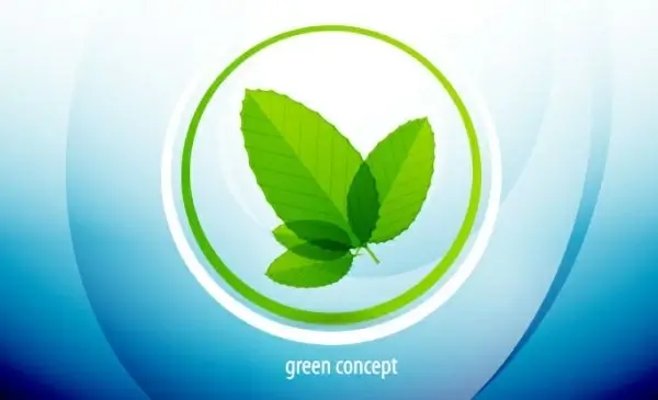 abstract green leaf background 02 vector