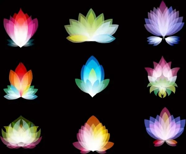 abstract spectrum flowers 