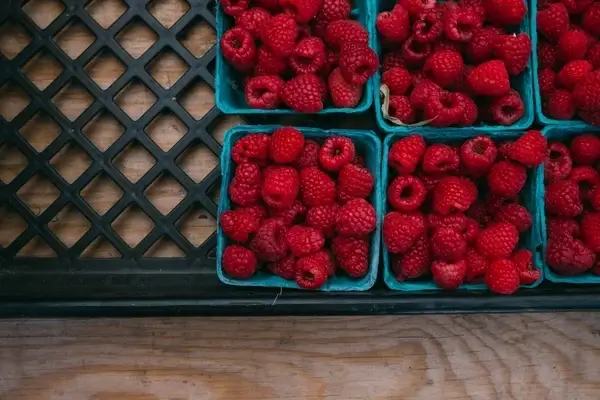 abundance background berry closeup crate dessert