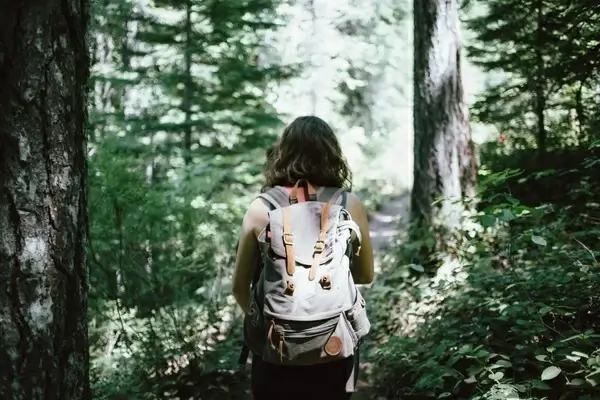 adult anticipation forest girl grass leaves