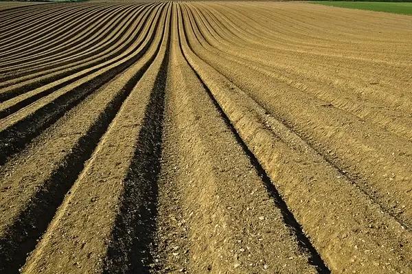 agriculture background countryside crop cropland dirt