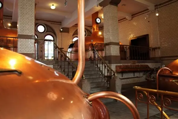 alcohol beer brew