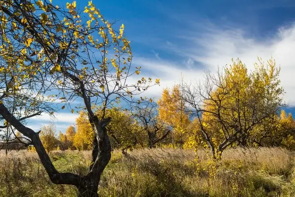 all hail the autumn