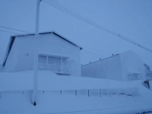 all white