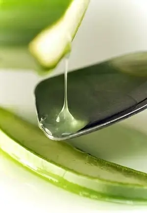 aloe vera liquid picture