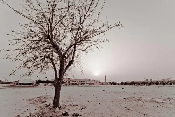 alone