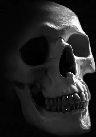 anatomy background body