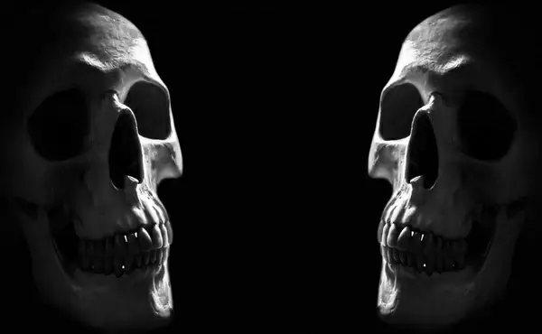 anatomy background body