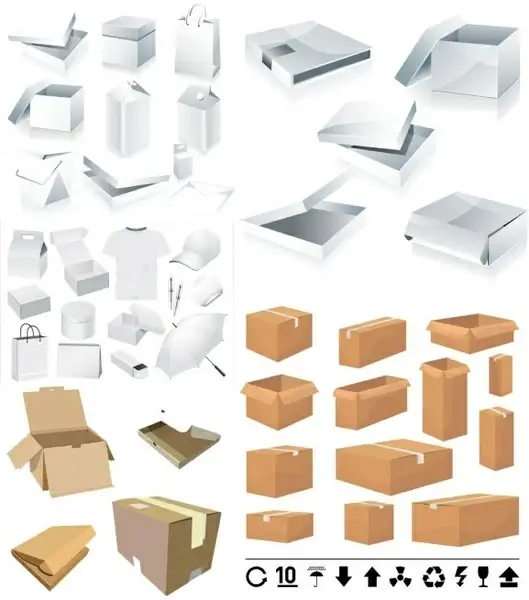 and carton box template vector