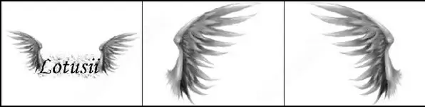 angelic wings brush