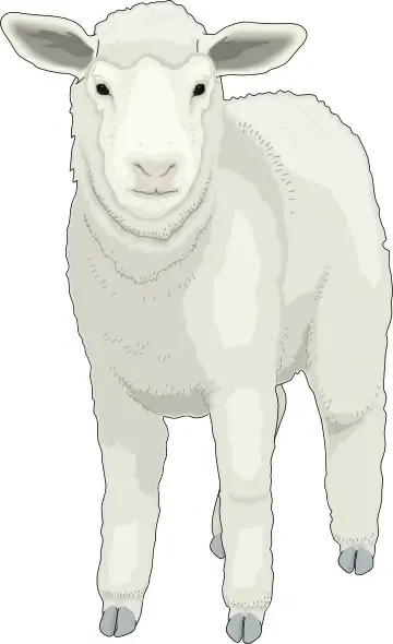 Animal clip art