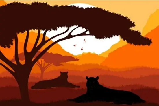 wildlife painting dark sunset scene sketch