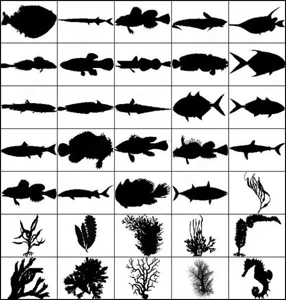 animals and sea plants brush 