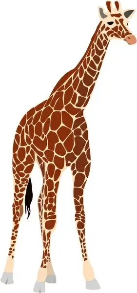 another giraffe