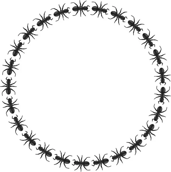 ant border circle
