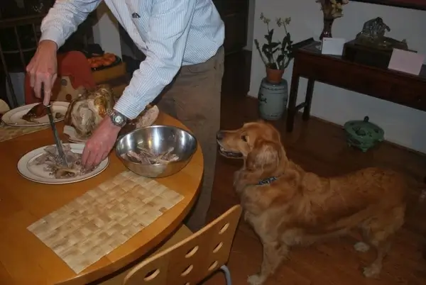 anticipation
