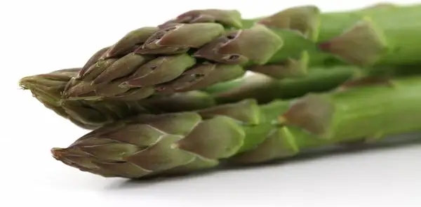 appetite asparagus food