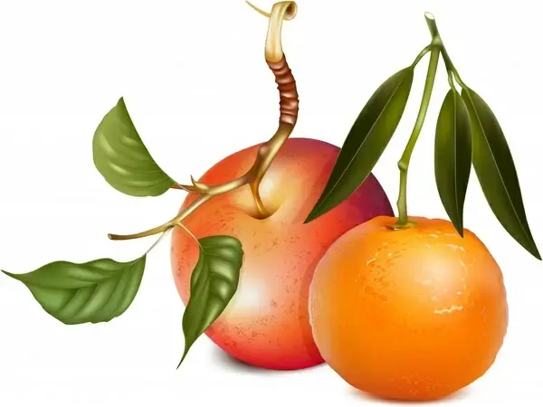 fruits icons apple orange sketch realistic design