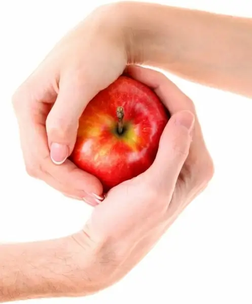 apple and the hand of 03 hq pictures