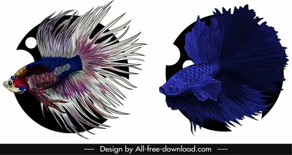 aqua fish icons elegant gaudy colored design