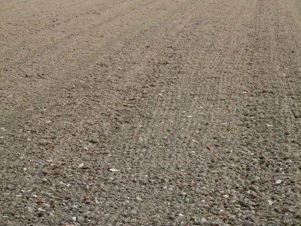 arable ground agriculture