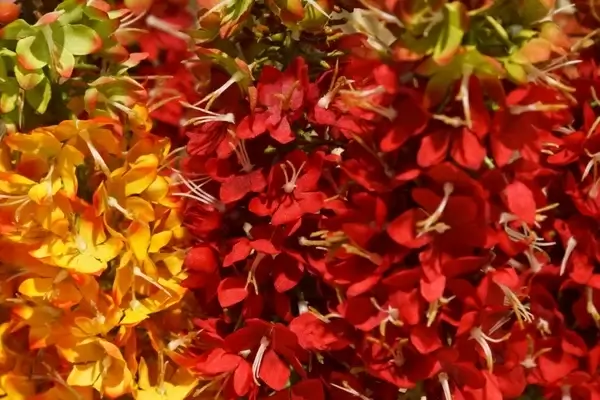 artificial flowers