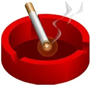 Ashtray vector