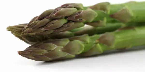 asparagus