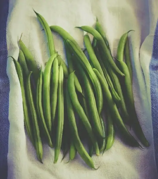 asparagus background color colour cooking cutout