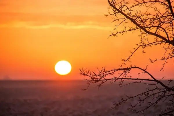 at sunrise