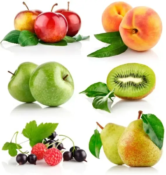 attractive fruit 02 hq pictures