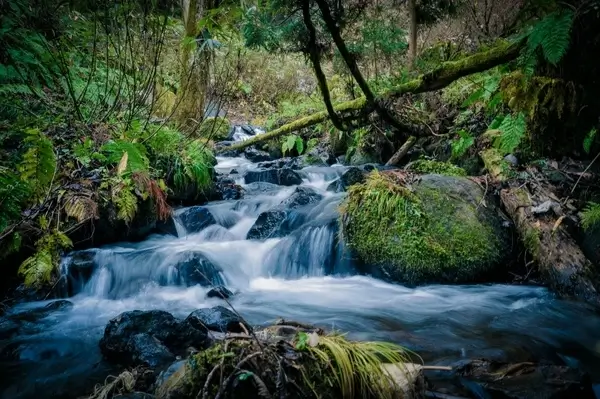 autumn cascade creek fall flow forest landscape