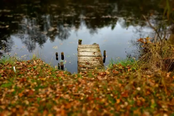 autumn colours