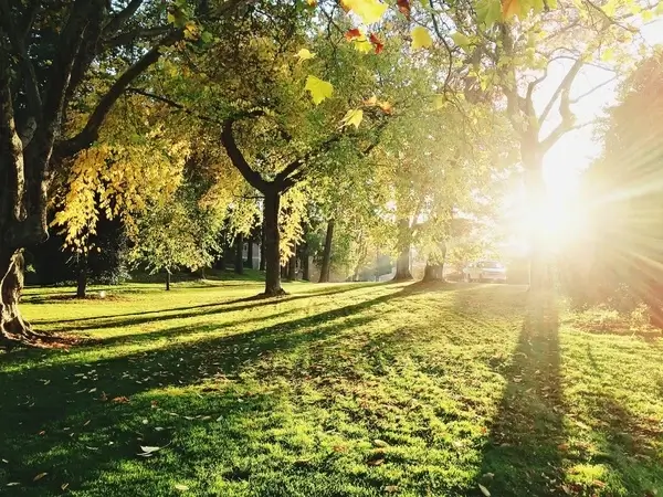 autumn countryside environment fall footpath forest