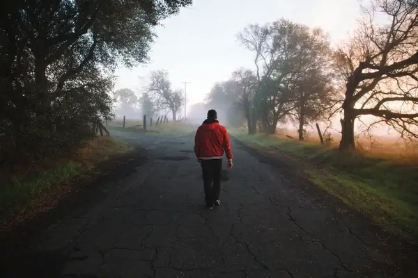 autumn countryside fall fog footpath forest