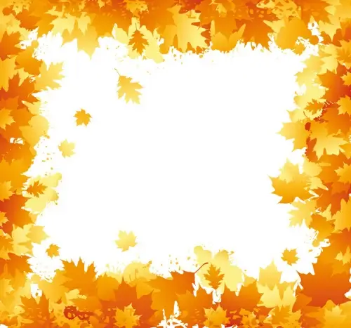 autumn elements of frames vector