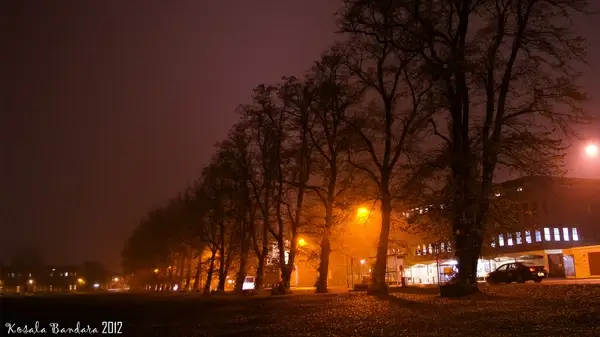 autumn mist