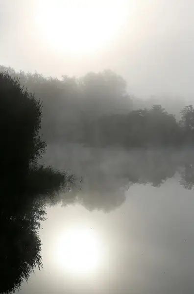 autumn mornings