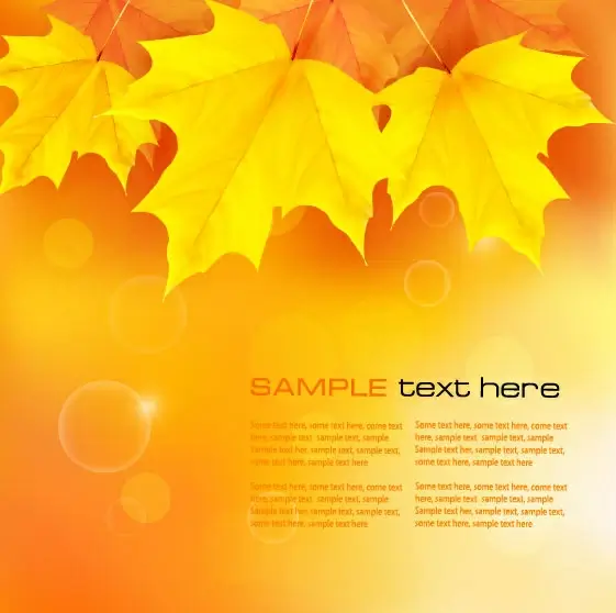 autumn of maple leaf vector background set