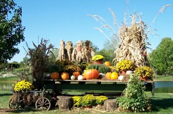 autumn scene