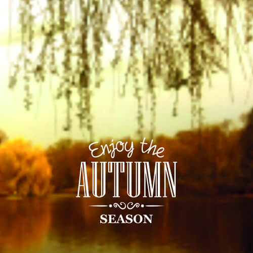 autumn season nature blurred background