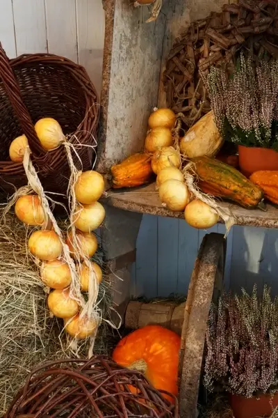 autumn still life 