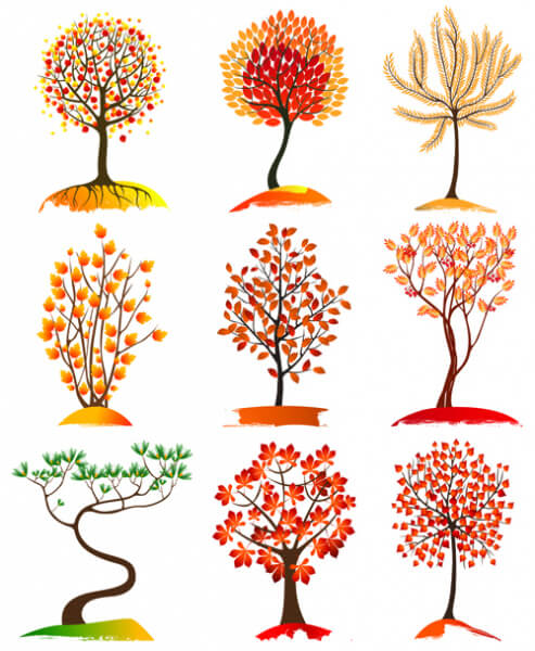 autumn tree icons vector